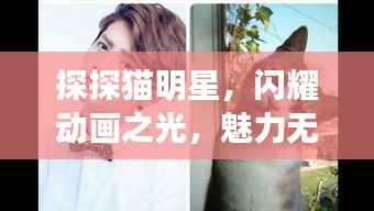 定谋贵决 第2页