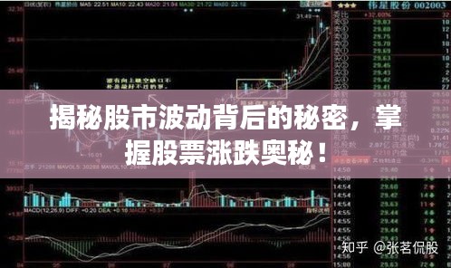 揭秘股市波动背后的秘密,掌握股票涨跌奥秘!