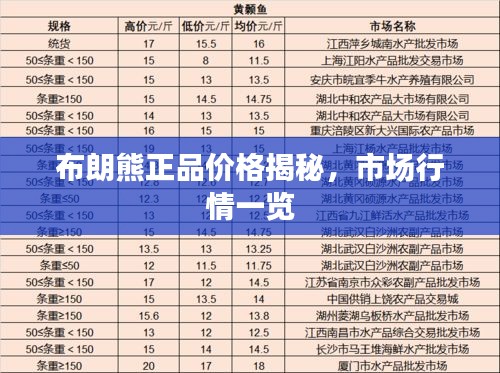 布朗熊正品价格揭秘,市场行情一览