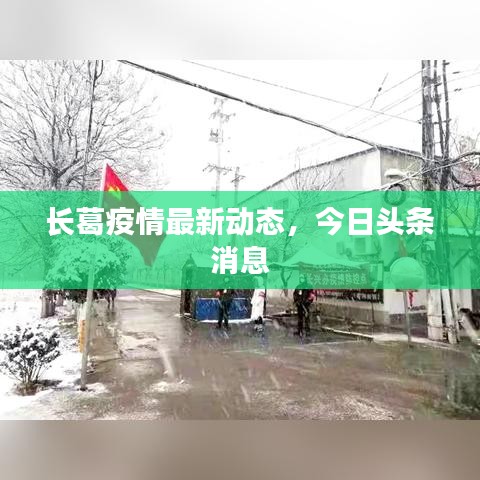 长葛疫情最新动态,今日头条消息